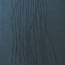 Claudia Gropp